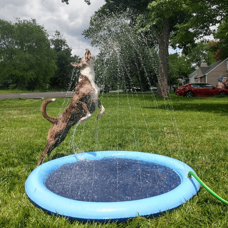 AquaPaws™ SplashPad