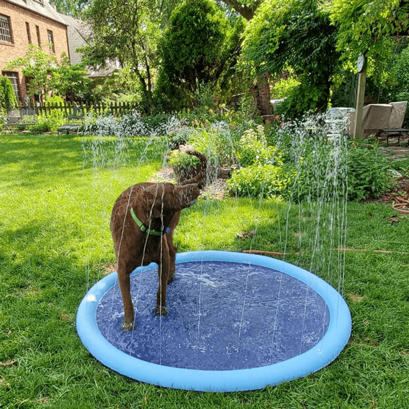 AquaPaws™ SplashPad