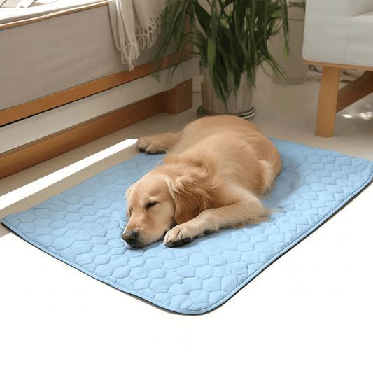 CoolPaws™ Summer Cooling Mat for Dogs