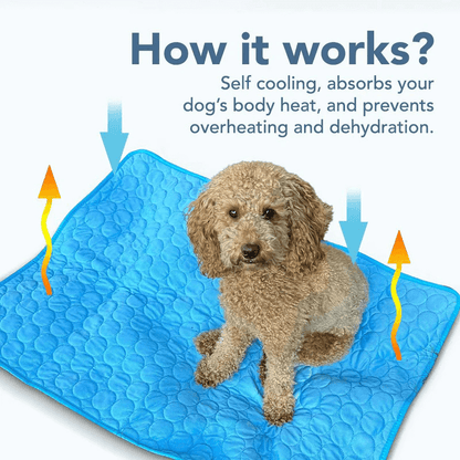 CoolPaws™ Summer Cooling Mat for Dogs