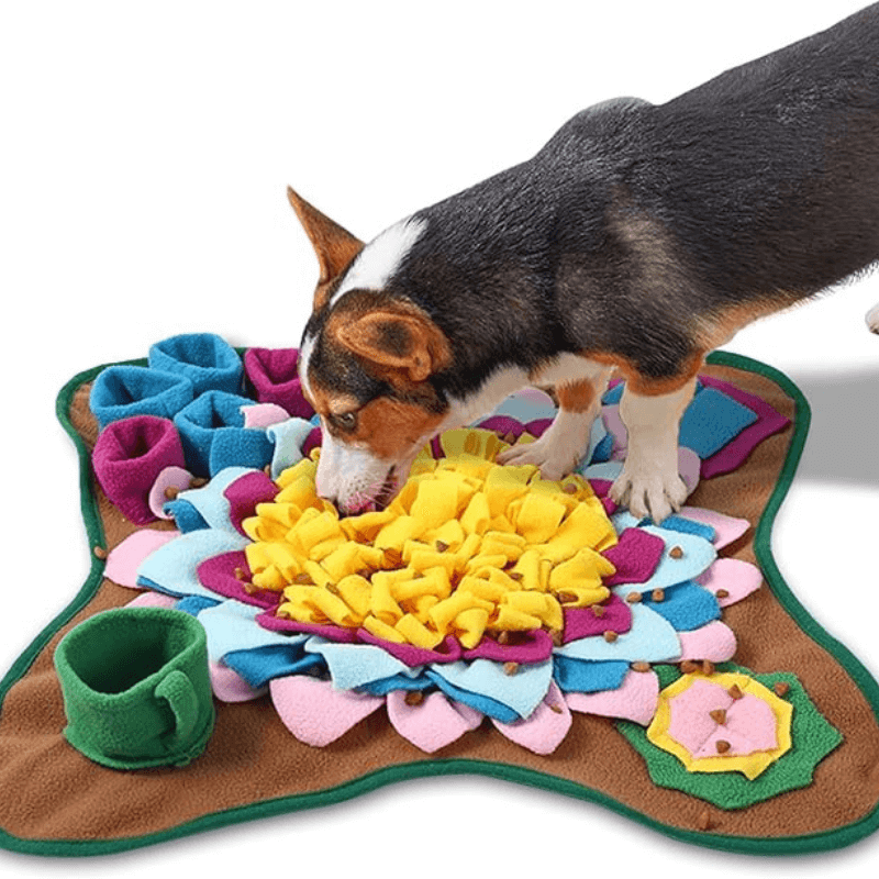 PawQuest™ Snuffle Mat