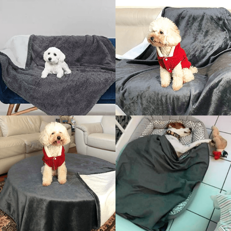 Paws & Protect™ Waterproof Dog Blanket